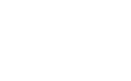 Vet international